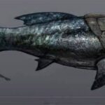 レス1番の画像1