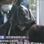 レス1番のリンク先のサムネイル画像