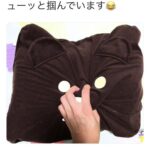 レス1番の画像2