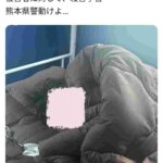 レス2番の画像3