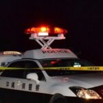 レス1番のリンク先のサムネイル画像