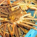 レス1番のリンク先のサムネイル画像