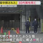 レス1番のリンク先のサムネイル画像