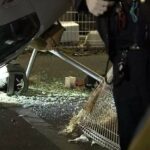 レス1番の画像6