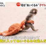 レス1番の画像1