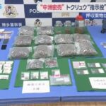 レス1番のリンク先のサムネイル画像