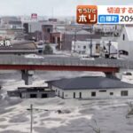 レス1番のリンク先のサムネイル画像