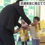 レス1番のリンク先のサムネイル画像