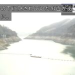 レス3番の画像3