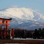 レス34番の画像1