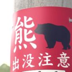 レス1番のリンク先のサムネイル画像