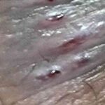 レス14番の画像1