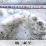 レス1番のリンク先のサムネイル画像