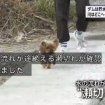 レス3番の画像7