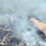 レス1番の画像3