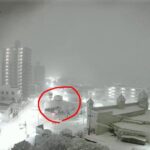 レス11番の画像1