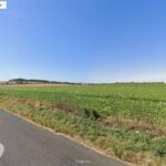 レス16番の画像3