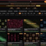 レス10番の画像1