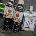 レス1番の画像12