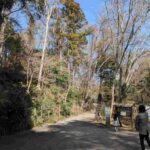 レス10番の画像1