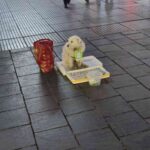 レス3番の画像1