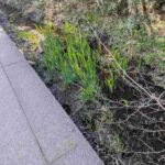 レス27番の画像1