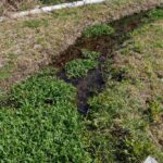 レス20番の画像1