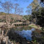 レス12番の画像1