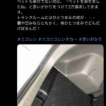 レス1番の画像5