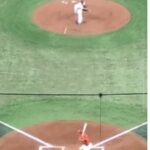 レス2番の画像1