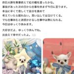 レス1番の画像1