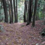 レス1番の画像6