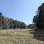 レス17番の画像1