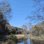 レス12番の画像2