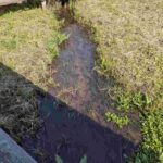 レス23番の画像1