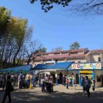 レス5番の画像1