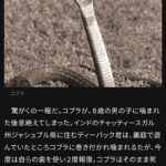 レス2番の画像1