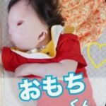 レス23番の画像3