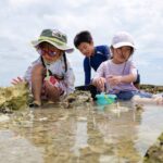 レス1番のリンク先のサムネイル画像