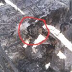 レス1番の画像3