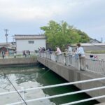 レス1番の画像4