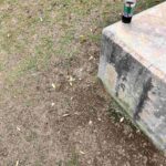 レス1番の画像3