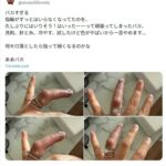 レス1番の画像1