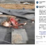 レス1番の画像2