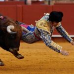 レス2番の画像2