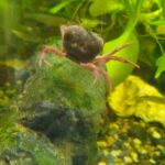 レス3番の画像1