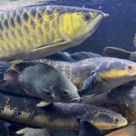 レス6番の画像2