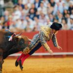 レス2番の画像1