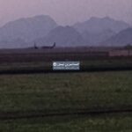 レス31番の画像1