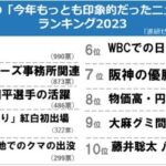 レス42番の画像6